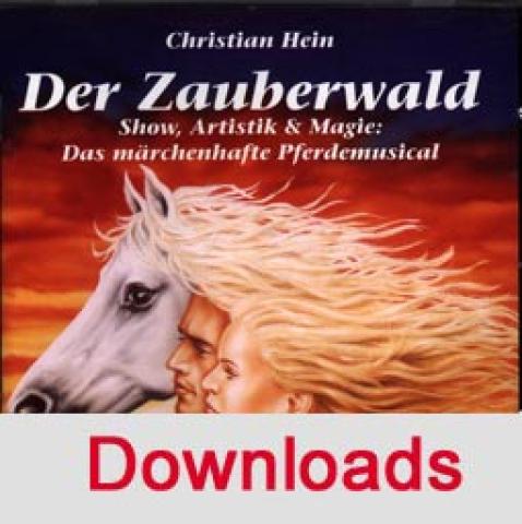 ZW1_13_Leuchte Kristall.mp3